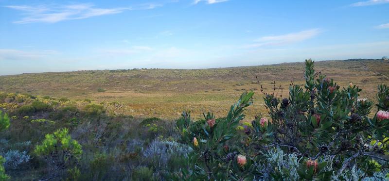 2 Bedroom Property for Sale in Stilbaai Rural Western Cape